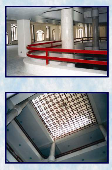 صورة 13